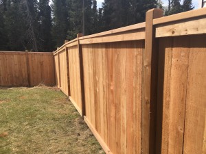 fence8  